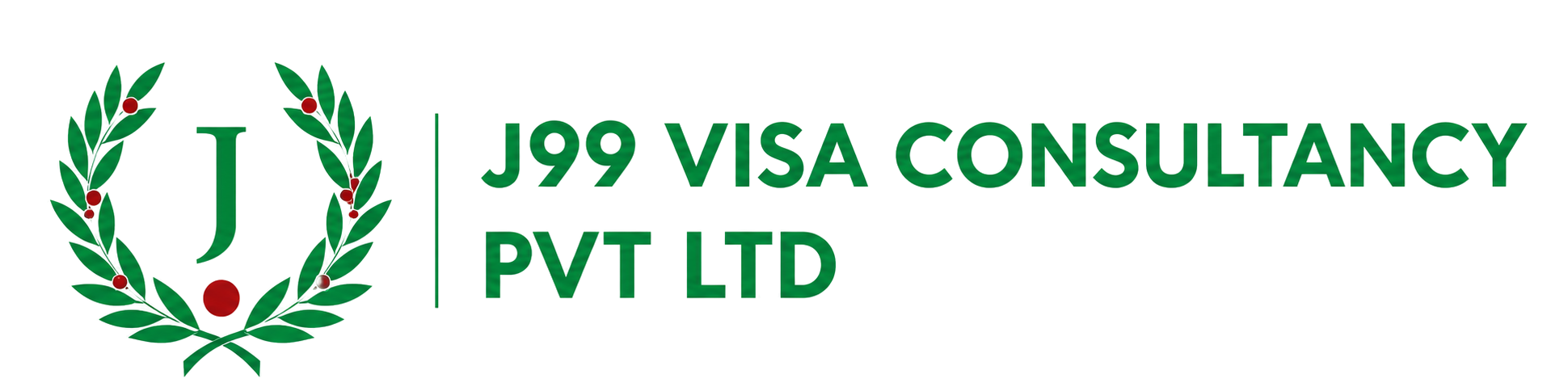 J99_Visa_logo24.png